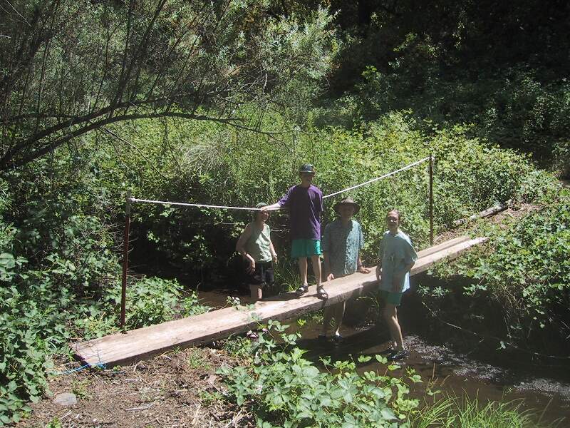 Bridge.jpg