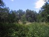 ViewfromCreek.jpg