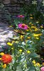 butterfly2.jpg